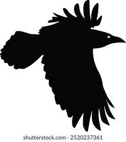 Black Silhouette of Crow. Halloween Raven Silhouette. Isolated on White Background