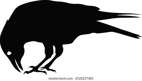 Black Silhouette of Crow. Halloween Raven Silhouette. Isolated on White Background