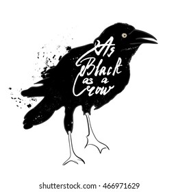 Black silhouette of a crow on an isolated background, hand drawn typography, lettering poster