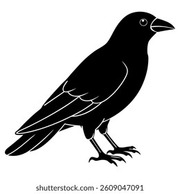 black silhouette of a crow with a white-background