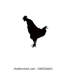 Black Silhouette Crowing Rooster Stock Vector Royalty Free Shutterstock