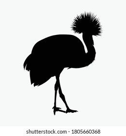 Black silhouette of crowned crane. Vector illustration isolated on white background