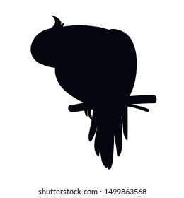 Black silhouette cute adult parrot of normal grey cockatiel sitting on branch and looking on you (Nymphicus hollandicus, corella) cartoon bird design flat vector illustration isolated