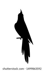 Black silhouette cute adult parrot of normal grey cockatiel sitting on branch and looking on you (Nymphicus hollandicus, corella) cartoon bird design flat vector illustration isolated