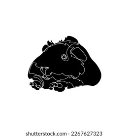 Black silhouette of the cute guinea pig on white background. Graphic drawing. Vector illustration.