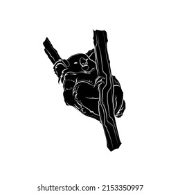Black silhouette of the cute sleeping koala on white background. Graphic drawing. Vector illustration.