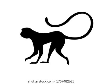 Black silhouette cute vervet monkey cartoon animal design flat vector illustration isolated on white background