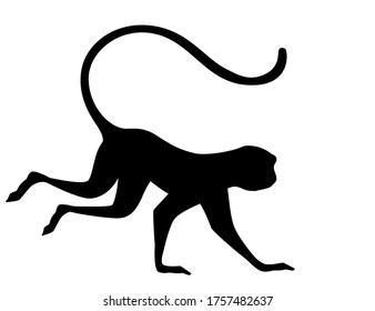 Black silhouette cute vervet monkey cartoon animal design flat vector illustration isolated on white background