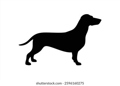 A black silhouette of a dachshund dog stands confidently against a white background. The dog features long ears, a slender body, and a wagging tail, representing playful energy and loyalty.