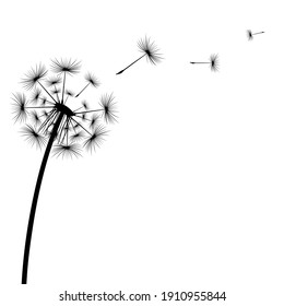 Black silhouette of a dandelion on a white background