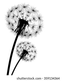black silhouette of a dandelion on a white background