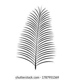 black silhouette date palm leaf. vector icon