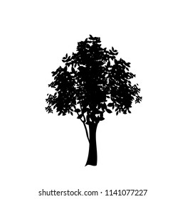 Black silhouette of deciduous tree icon isolated on white background. Vector illustration, sign, symbol, clip art, pictogram for design.