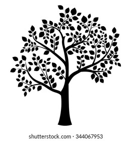 black silhouette of a deciduous tree on a white background