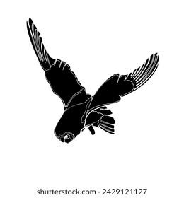 Black silhouette of the diving short-eared owl on white background. Graphic drawing. Vector illustration.