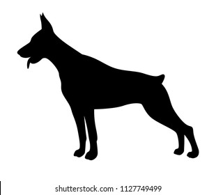 Black Silhouette Doberman Pinscher Dog On Stock Vector (Royalty Free ...