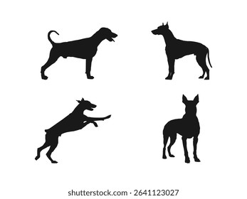 The black silhouette of a Doberman Pinscher. Dog Breed Silhouettes in Action and Still Poses. 