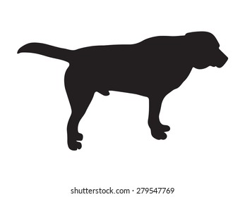 black silhouette of dog