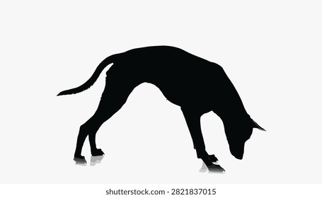 Black silhouette of a dog bending down to sniff
