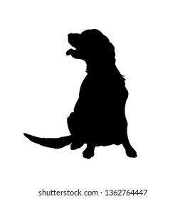 Black silhouette of dog. Isolated image of retriever. Farm pet. Veterinary clinic logo. Vector illustration