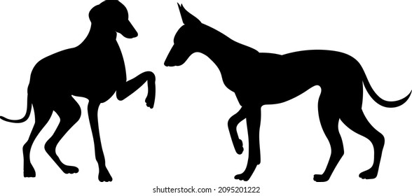 black silhouette of a dog, isolated, vector