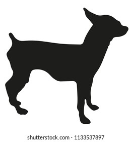 Black silhouette of a dog on a white background. Chihuahua. Vector illustration.
