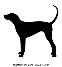 black silhouette of a dog, on a white background vector