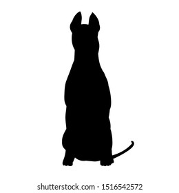  black silhouette of a dog sitting