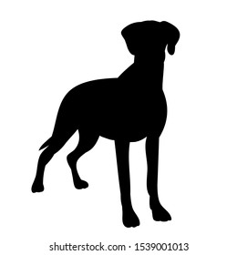 black silhouette of a dog standing