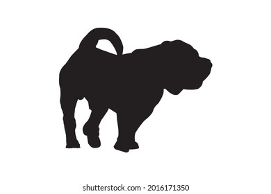 Black silhouette dog with tail on white.  Adult male Modern meat-mouth Shar Pei. 