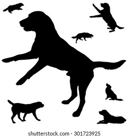 Black silhouette of dogs on white  background.