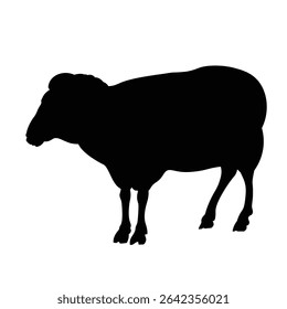 Silhueta preta de um carneiro doméstico de pé em perfil. Vista lateral de uma ovelha com chifres isolada sobre fundo branco. Ilustração vetorial para conceitos de criação, pecuária ou design animal.