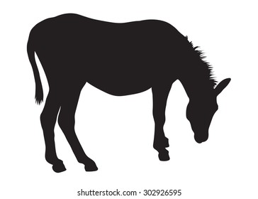 black silhouette of donkey