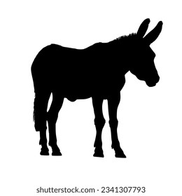 Black silhouette of a donkey isolated on white background. vector logo of a mule. black icon of a horse. vector illustration of a john.