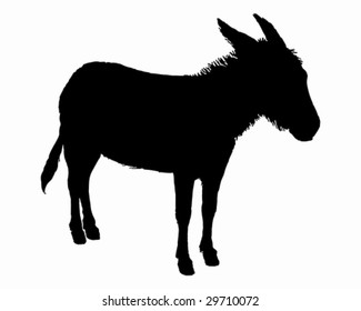 The black silhouette of a donkey on white