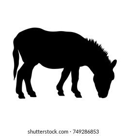 black silhouette of donkey on white background of vector illustration