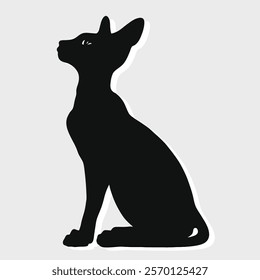 Black silhouette of a Donskoy or Don Sphynx