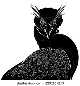 Black silhouette of the double-crested cormorant (head) on white background. Graphic drawing. Vector illustration.