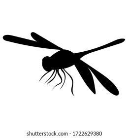 black silhouette of a dragonfly