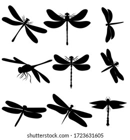 black silhouette dragonfly, insect, background