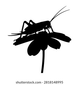 Black silhouette of a dragonfly resting on a plant stem, highlighting intricate wing details and slender body against a plain background.