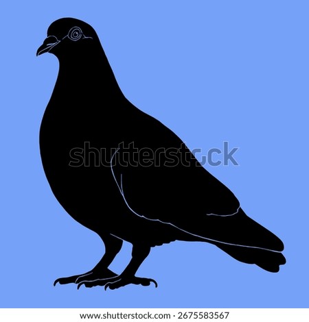 Black silhouette drawing of a pigeon, vector, blue background