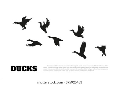 Black silhouette duck flocks on a white background. Vector background
