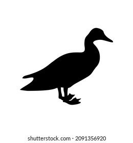 Black silhouette of duck isolated on white background