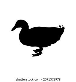 Black silhouette of duck isolated on white background