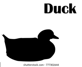 Black silhouette of duck sitting, white background, vector, eps 10