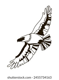 Black silhouette of an eagle in the doodle style. Eagle in the style of a line. A flying bird. Vector illustration isolated on a white background