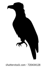 black silhouette of eagle, side view
