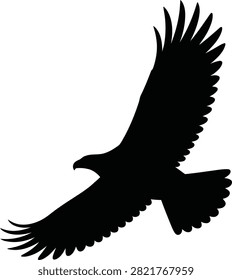 Black silhouette of an eagle with wings spread wide in flight against a white background, bird