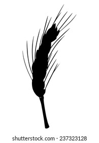 black silhouette of ear of wheat